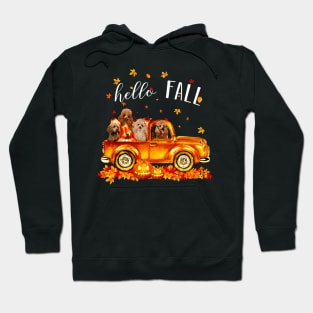 Poodle Hello Fall - Poodle In Car Pumpkin Halloween T-shirt Poodle Autunm Gift Hoodie